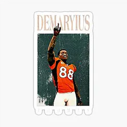 Art Denver Broncos Sticker