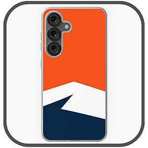 Denver Broncos Cases
