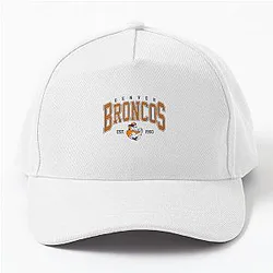 Art Denver Broncos Cap