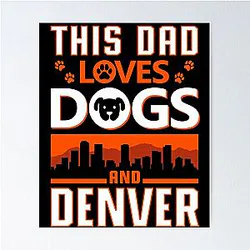 Art Denver Broncos Poster