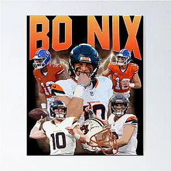 Art Denver Broncos Poster