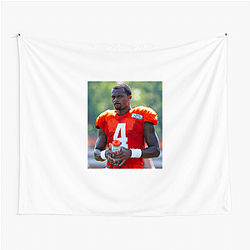 Field General Deshaun Watson Tapestries