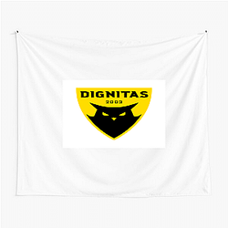 Dignitas has won many championships Dignitas Tapestries