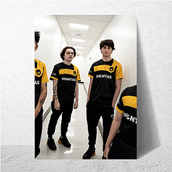 Dignitas is based in New Jersey Dignitas Posters