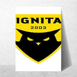 Dignitas has won many championships Dignitas Posters