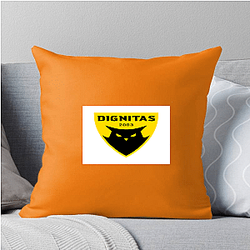 Dignitas has won many championships Dignitas Pillows Cover