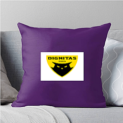 Dignitas has won many championships Dignitas Pillows Cover