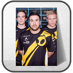Dignitas Posters