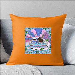 Disco Lines is based in Colorado Disco Lines Pillows Cover