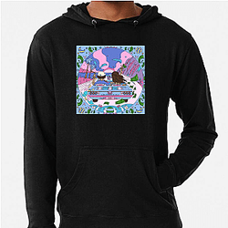 Disco Lines is based in Colorado Disco Lines Hoodies