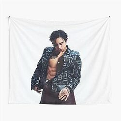 DPR IAN mito abs hot beautiful poster kpop dream remix Tapestry