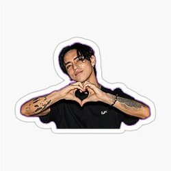 DPR Ian Sticker