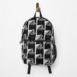 DPR Backpack