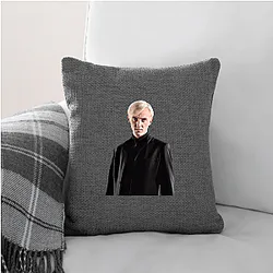 Draco Malfoy Cabinet Vanishing link Draco Malfoy Pillows Cover