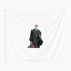 Draco Malfoy Ferret Transfiguration lesson Draco Malfoy Tapestries