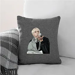 Draco Malfoy Slytherin Pureblood pride Draco Malfoy Pillows Cover