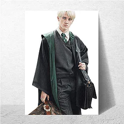 Draco Malfoy Ferret Transfiguration lesson Draco Malfoy Posters