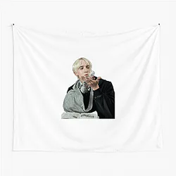 Draco Malfoy Slytherin Pureblood pride Draco Malfoy Tapestries