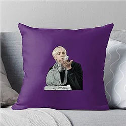 Draco Malfoy Slytherin Pureblood pride Draco Malfoy Pillows Cover