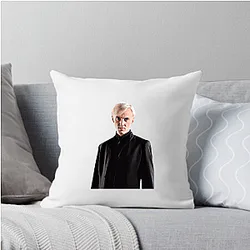 Draco Malfoy Cabinet Vanishing link Draco Malfoy Pillows Cover
