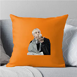 Draco Malfoy Slytherin Pureblood pride Draco Malfoy Pillows Cover