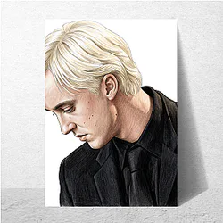 Draco Malfoy Seeker Quidditch rival Draco Malfoy Posters