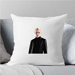 Draco Malfoy Cabinet Vanishing link Draco Malfoy Pillows Cover