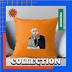 Draco Malfoy Pillows Cover