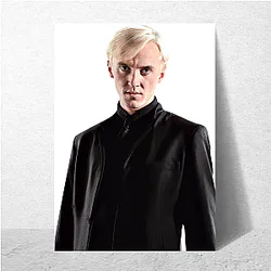 Draco Malfoy Cabinet Vanishing link Draco Malfoy Posters