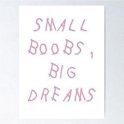 Small Boobs Big Dreams - Drake Poster