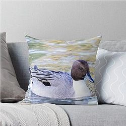 Northern Pintail Throw Pillow