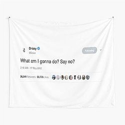 Drake - What am I gonna do? Say No? Tweet Tapestry