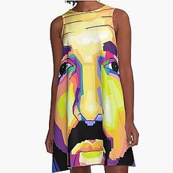 Drake Pop Art A-Line Dress