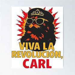 Dungeon Crawler Carl - Funny Cat Poster