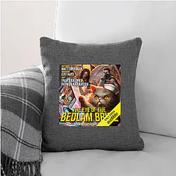 Dungeon Crawler Carl Merch For Fans Dungeon Crawler Carl Pillows Cover