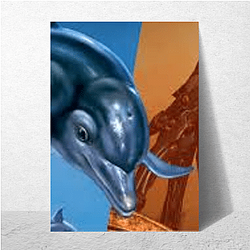 Ecco The Dolphin Merch For Fans Ecco The Dolphin Posters