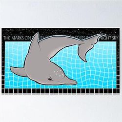 Ecco The Dolphin - Like The Night Sky Poster