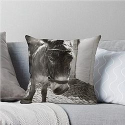 Eeyore Throw Pillow