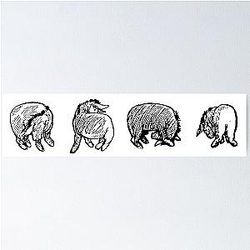 Eeyore Missing His Tail