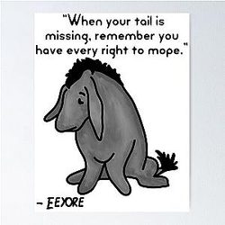 Sad Eeyore Quote