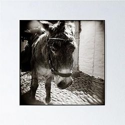 Eeyore Poster