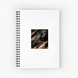 Eli Tomac races Supercross and Motocross Eli Tomac Notebook