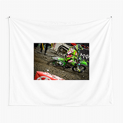 Eli Tomac won his very first race Eli Tomac Tapestries