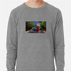 Ello Worm Merch Collection Ello Worm Sweatshirts