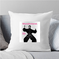 Emma D'arcy Special Collection Emma D'arcy Pillows Cover