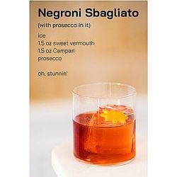 Negroni Sbagliato with prosecco 
Lined Notebook 
TikTok Emma Darcy 
Cocktail Journal