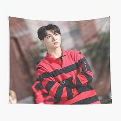 Jay Park Enhypen Map Tapestry