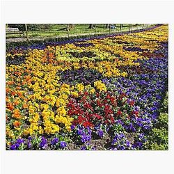 Wonderful Colors of Nature in the Spring