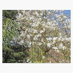 Wonderful colors of Nature in the spring puzzle, 4 Jigsaw Puzzle