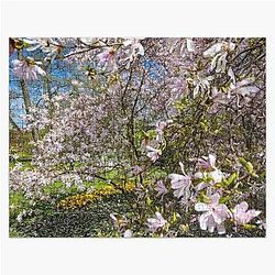 Wonderful colors of nature in the spring entourage jigsaw puzzle